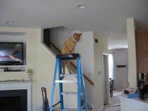img_1903