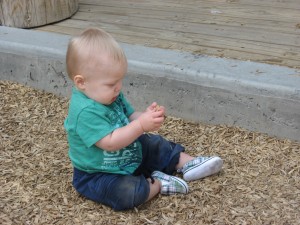 IMG_3242