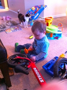 This picture cracks me up - Ethan is getting creative while being stuck at home.  "Fixing" his bike.