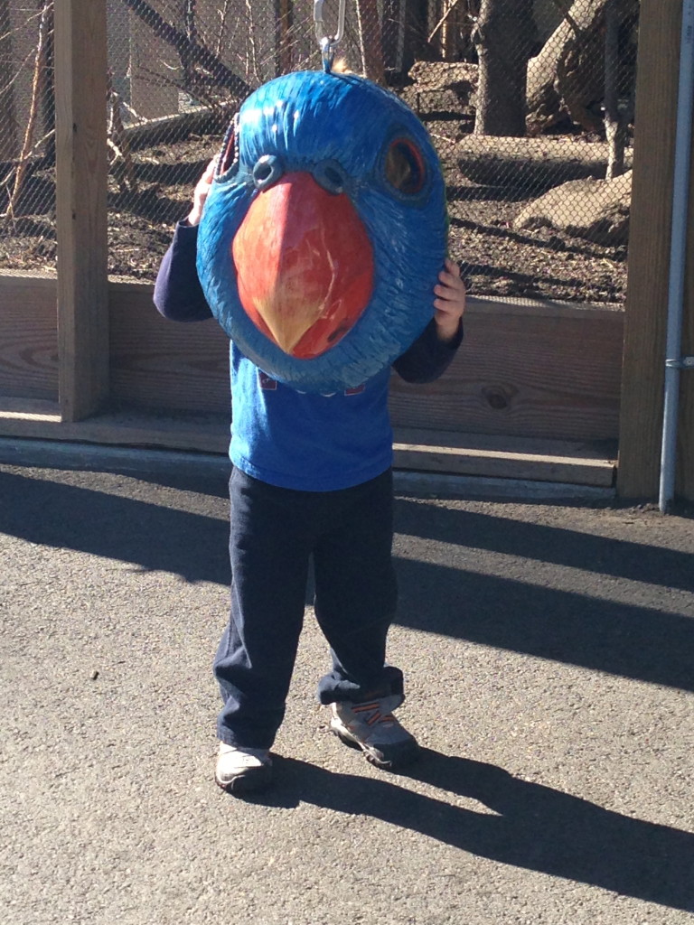 First visit to the Zoo