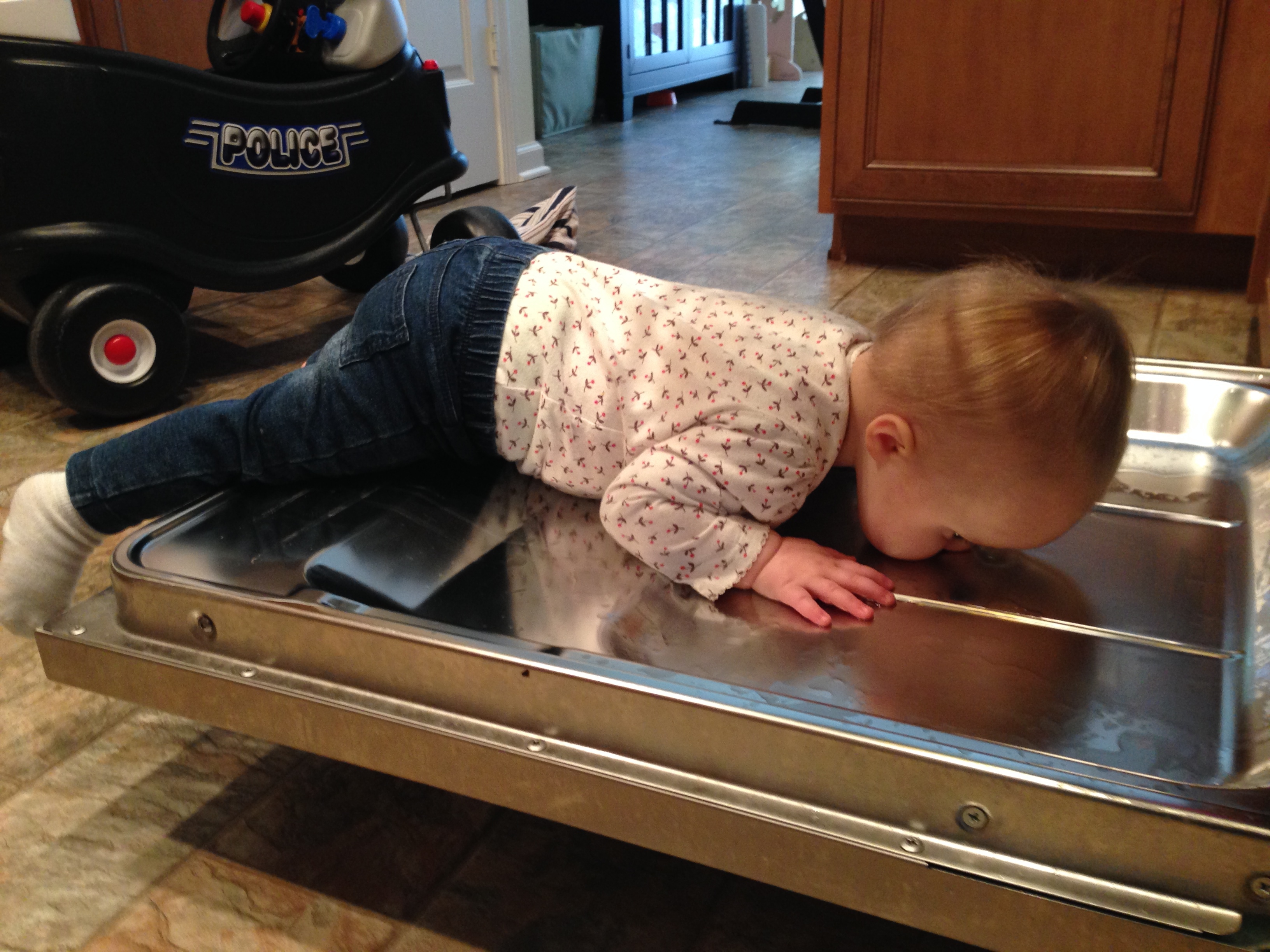 Noelle loves drinking water - even from the bottom of the dishwasher. Weirdo.