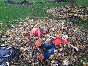Leaf pile joy!  You don't have to tell kids what leaf piles are for.